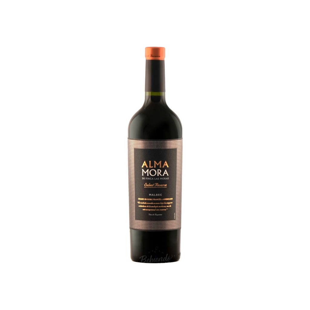 [21014] ALMA MORA RESERVA 750CC - MALBEC