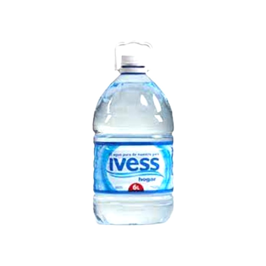 [829] IVESS DESC BIDON 6000CC