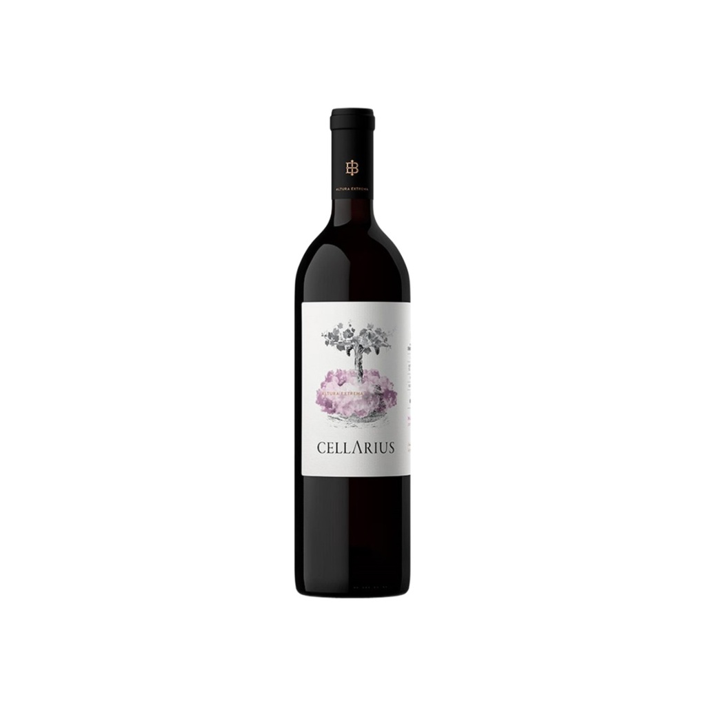 [11002] CELLARIUS 750CC - MALBEC